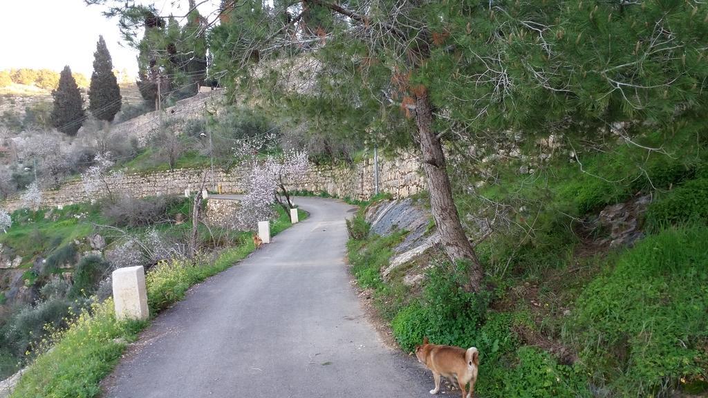 Rosary Sister Guest House Ein Karem Gerusalemme Esterno foto