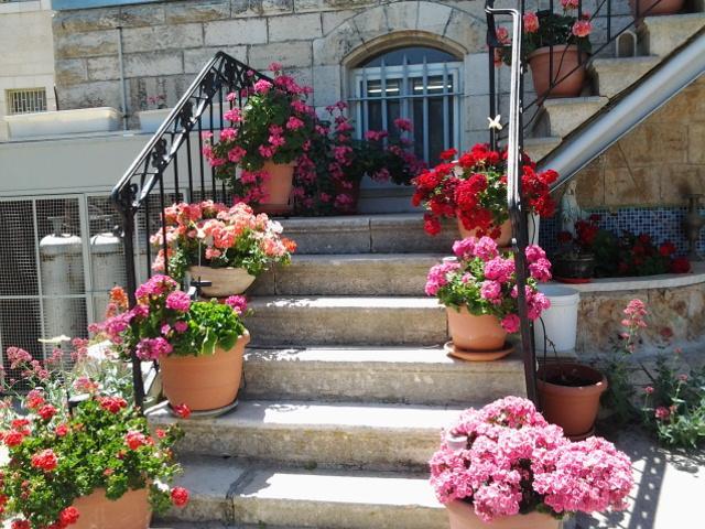 Rosary Sister Guest House Ein Karem Gerusalemme Esterno foto